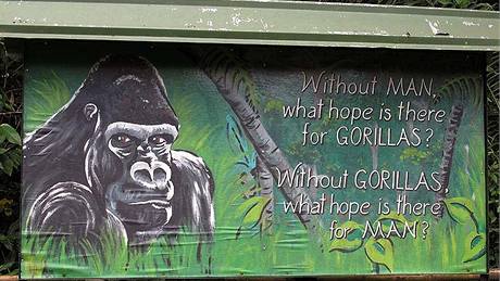 Gorilí billboard