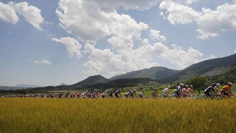 Peloton na trati 11. etapy Tour de France.