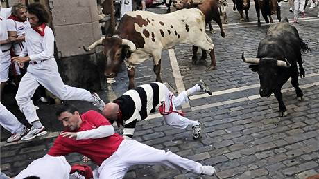 Dobrodruzi prchají ped rohy býk pi slavnosti v ulicích Pamplony