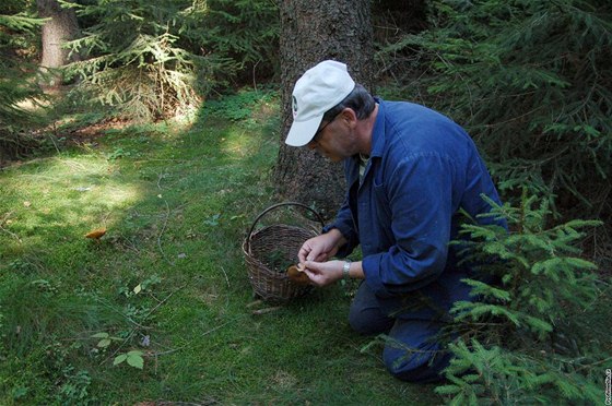 "Jestli nechcete chodit po lese s prázdným koíkem, vydejte se za houbami na východní Slovensko," radí mykolog