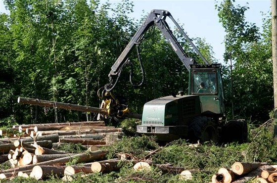 Kdo vydlá na tb deva? Vci veejné se postavily proti ministrovi zemdlství Ivanu Fuksovi z ODS, nelíbí se jim jeho plán, aby velké taské firmy stromy nejprve samy pokácely, pak devo roztídily i prodaly.