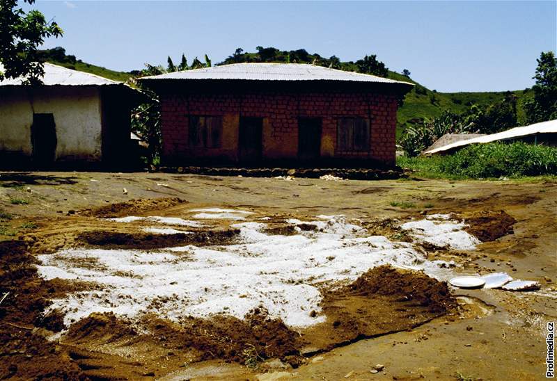 Vápno pokrývá masový hrob lidských obtí výbuchu plynu pod vulkanickým jezerem Nyos.