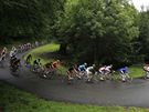 Peloton bhem 17. etapy Tour de France