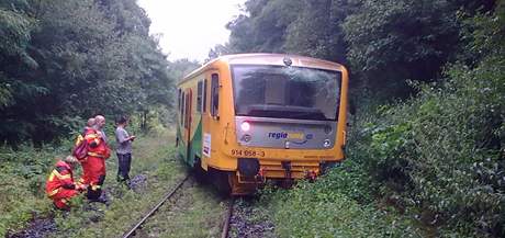 U Milostína na Rakovnicku narazil vlak do kmene stromu. První vz soupravy vykolejil.