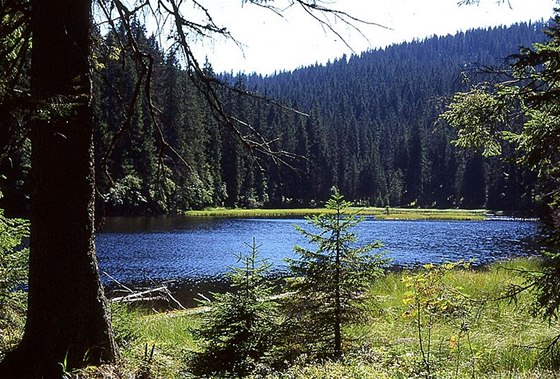 Jezero Laka na umav.