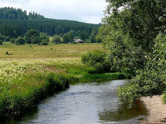 Teplá Vltava pod Soumarským Mostem