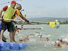 Dálkoví plavci se oberstvují bhem závodu mistrovství Evropy.