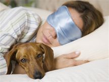 Pes do postele nepat, ale kdo by nepustil svho mazlka do teplch pein. Riskujete ale blechy, kl횝ata i ekzmy.