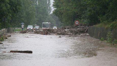 Sesuv pdy mezi Sebuzínem a Brnou v okrese Ústí nad Labem