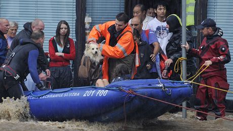 Na záchranném �lunu skon�il i pes.