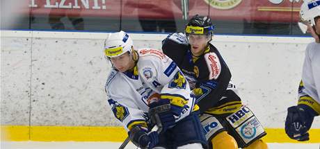V rámci letního Tipsport Cupu se utkali hokejisté Plzn (vlevo) a Litvínova.