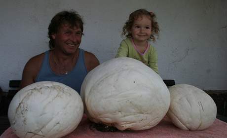 Zdenk Kraus s dcerkou Veronikou a nasbíranými pýchavkami obrovskými