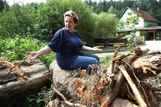 Michaela Nováková ukazuje vyplavené zbytky strom, kvli kterým ji letos potok zatopil u podruhé.