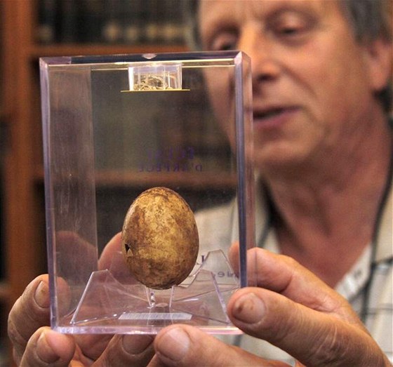 1200 let staré a celé vajíko, které nali archeologové v pohebiti starých Slovan u Znojma.