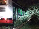 Strom spadl na autobus MHD v Praze - Kunraticích. (15. srpna 2010)