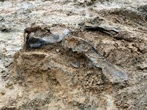 U Dobronína na Jihlavsku odkrývají archeologové hromadný hrob. V něm má ležet asi 15 Němců zavražděných v květnu 1945