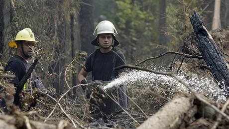 Rutí hasii bojují s ohnm v okolí Moskvy. (10. srpna 2010)