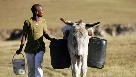 VODA. Jedenáctiletý Palesa Majoro z Lesotha chodí se svým oslem pro pitnou vodu