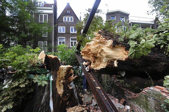 Strom Anny Frankové v Amsterdamu zlomil silný vítr. Pádu nezabránila ani ocelová konstrukce