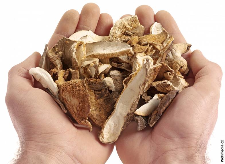 Su�ené houby se hodí do polévek i do sm�sí k mas�m, ne v�echny druhy si ale po usu�ení zachovají tak dobrou chu�