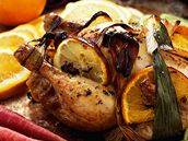 Ku�e na citrusech.