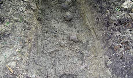Nedaleko slovinské Prevalje objevili masový hrob (3. záí 2010)