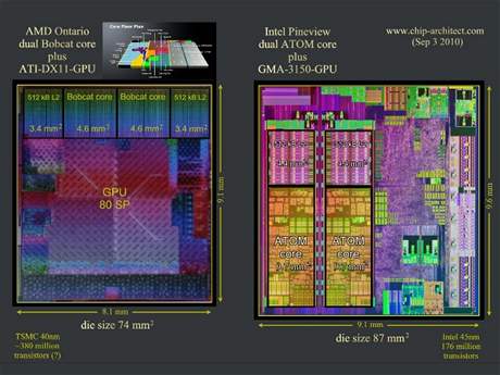 AMD Ontario