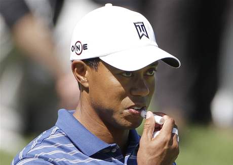 Tiger Woods je momentáln na 51. míst FedEx Cupu. Aby prorazil do první ticítky, která bude hrát Tour Championship, potebuje podle odhad skonit do pátého místa.