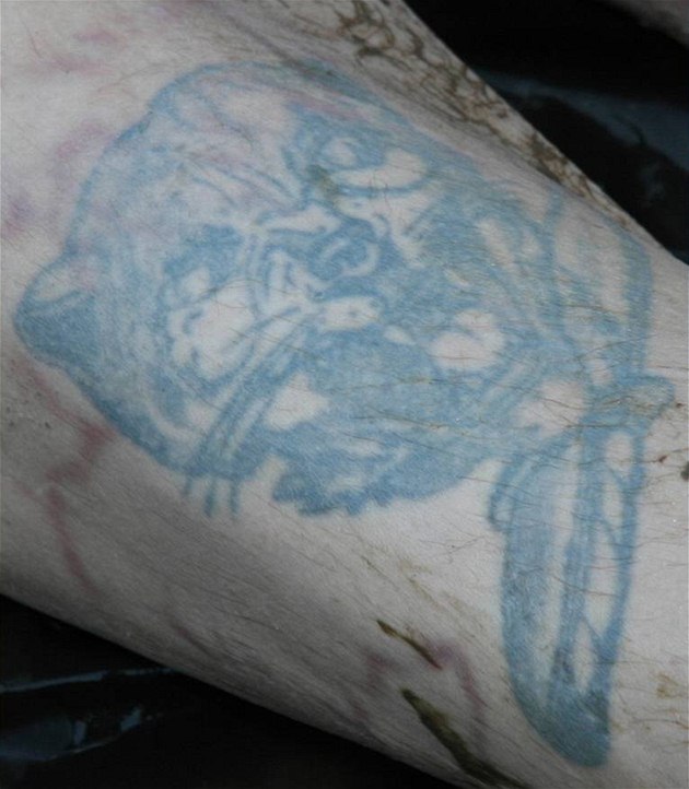 Tetování neznáho mue, jeho mrtvolu nali v ece v Plzni