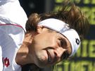 panlský tenista David Ferrer bhem zápasu s krajanem Gimeno-Traverem na US Open. 