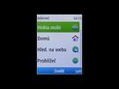 Recenze Nokia X2 displej