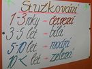 Jednou za dva roky se v psychiatrick lebn erven Dvr na eskokrumlovsku schzej bval klienti, kte se tu lili ze zvislost. Kad z astnk srazu dostv maliku, barva uruje, jak dlouho u abstinuje.