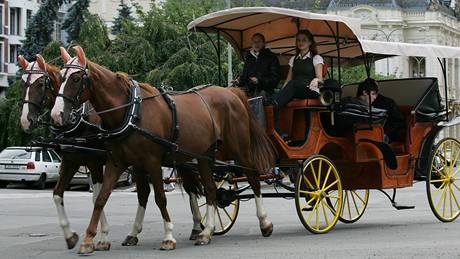 Okruní koárová jízda je v Karlových Varech vyhledávanou atrakcí