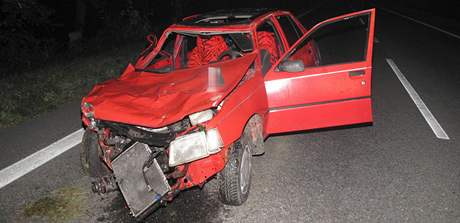 Peugeot smetl ze silnice ti chodce. Nehodu nepeil jeden z nich. Pi pevozu do nemocnice zemel i idi vozu. 