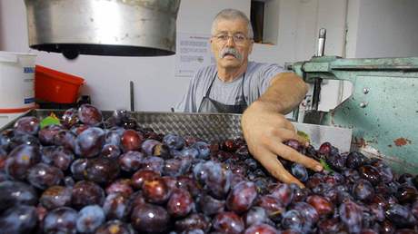 Pálenice ve Zlínském kraji letos zaily patnu sezonu. Ilustraní foto