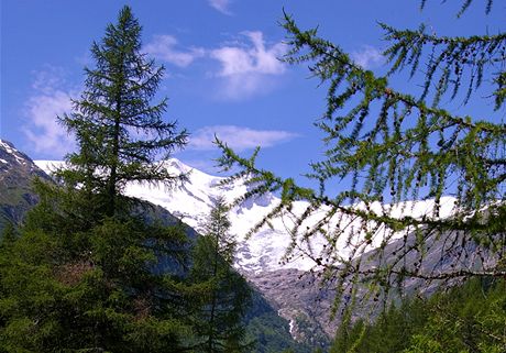 Údolí Tauernbach, v pozadí Grossvenediger (3662 m)