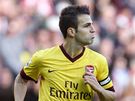 SPRVN KAPITN. Cesc Fabregas z Arsenalu skroval v zpase proti Sunderlandu.