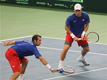 Radek tpnek a Tom Berdych