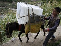 Afghnistn se pipravuje na parlamentn volby, kter se uskuten v sobotu. Na odlehl msta mus volebn urny dopravit osli 