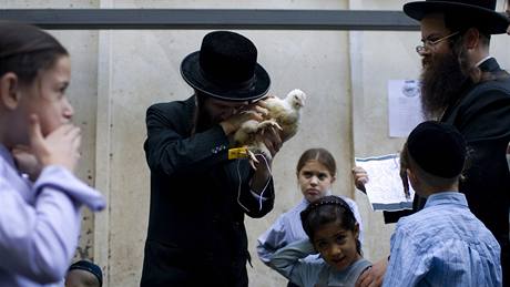 Ortodoxní id v Jeruzalém vykonává rituál kaparot (záí 2010)