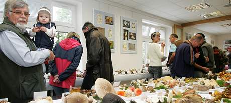 V Mariánských Lázních se bude konat tradiní výstava hub.