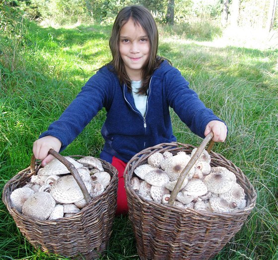 Vnuka Evy Mikyskové z Tebíe nad nasbíranými houbami