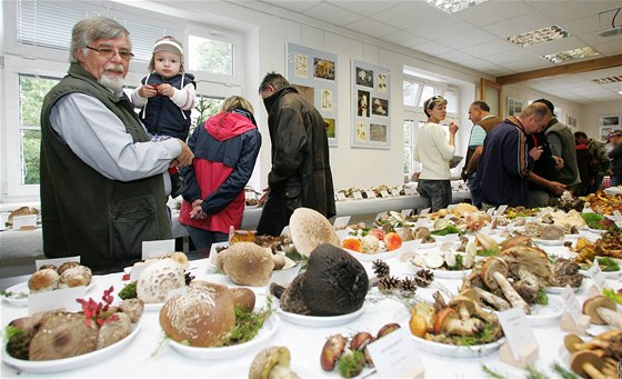 V Mariánských Lázních se bude konat tradiní výstava hub.