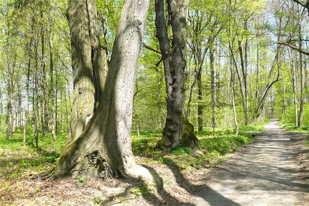 Česko, nejlepší místo k životu? V jednom aspektu určitě!