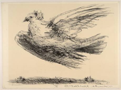 Pablo Picasso: Letc holubice