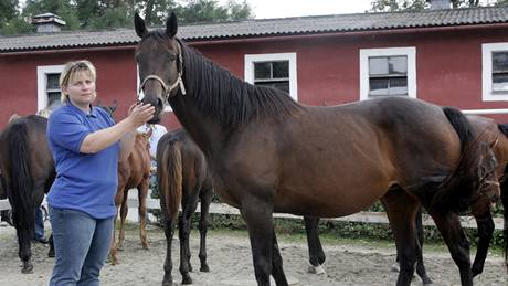 Den otevených dveí v hebinci Napajedla (zootechnika Kateina Sedláková)