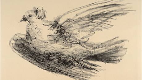 Pablo Picasso: Letící holubice