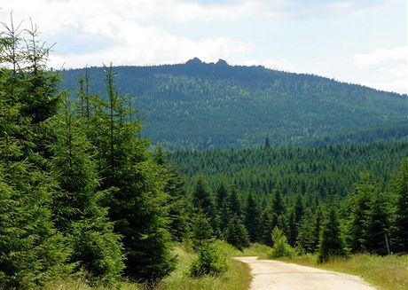 Jizersk hory. Cesta od Pedlu k chat Smdava, v dli Jizera