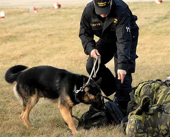 Kynologové v Kladn mli skonit. Kraj ale provoz oddlení policii zaplatí. Ilustraní foto