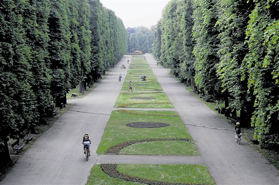 Rudolfova alej v Olomouci ped zahájením kácení a obnovy. Snímek z roku 2008.